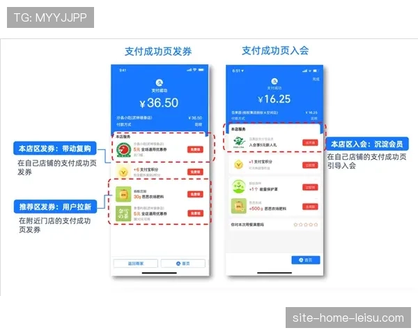 拜仁会员制模式成功 30万会员支撑商业基础